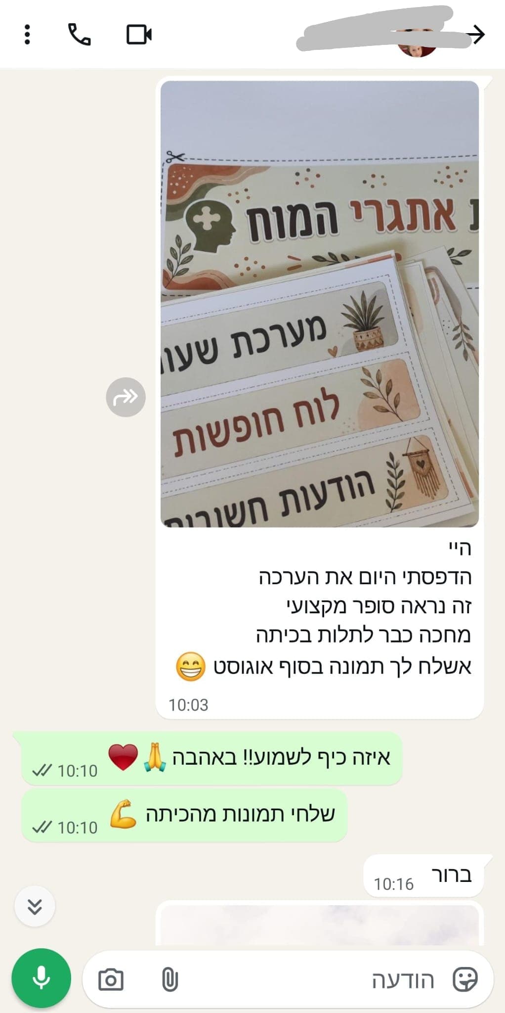 המלצה 2